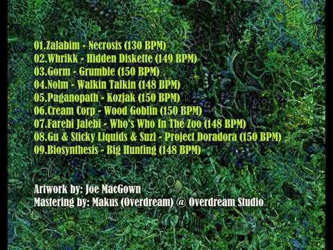 02 Whrikk - Hidden Diskette