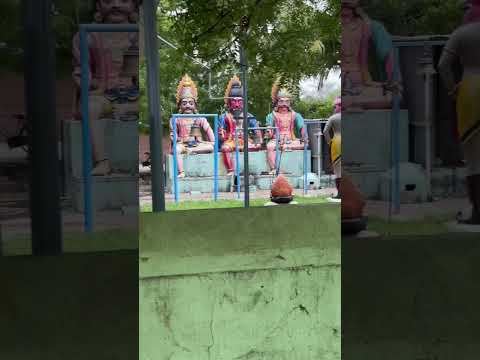 📍Sellappampatti #namkkal #sellappampatti #namakkal  #sellaivlogs#minitourofsellappampatti #sellai