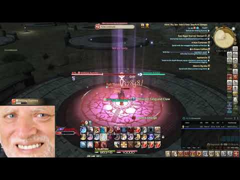 DRG dummy dps stuff [14315 DPS] no pots no food ofc..