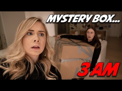 DO NOT ORDER A MYSTERY BOX FROM THE DARK WEB AT 3 AM...