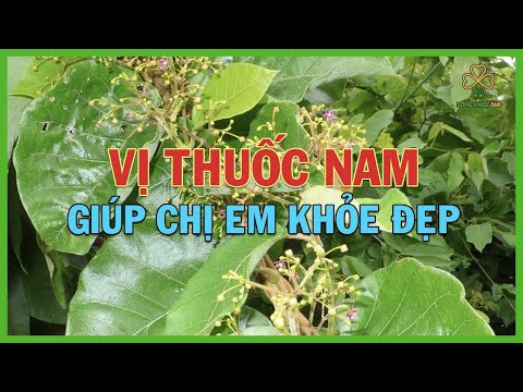 Vị Thuốc Nam Giúp Chị Em Khỏe Đẹp