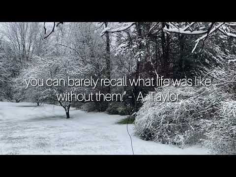 CHRISTMAS SONG for TAMMY by PAUL CANTELON 