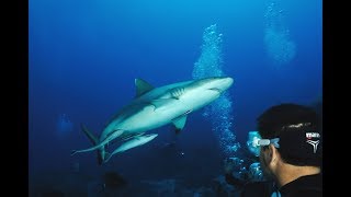 Calypso, episode 10:10