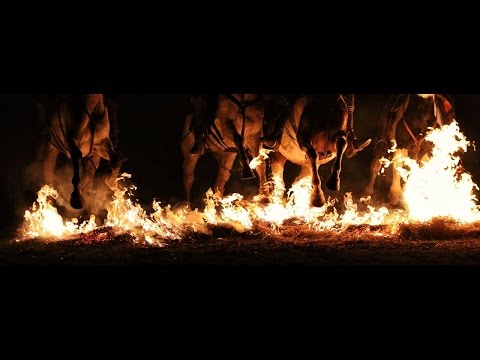 night and fire - spiritus lupus