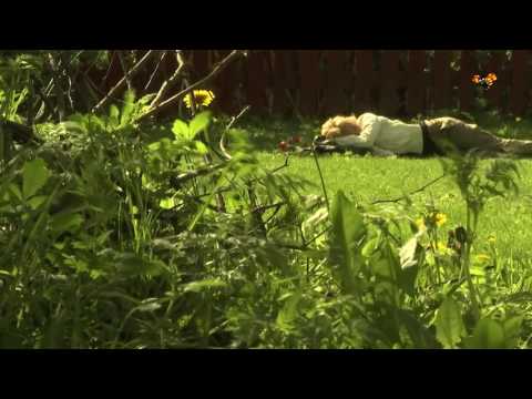 Stoppa undan paraplyt – nu gör sommaren comeback!