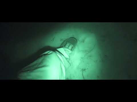 Wood Grouse Hunting in Bulgaria