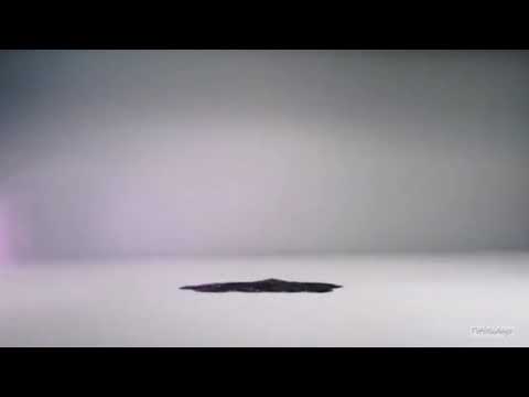 Showtime CEE (Romania & Hungary) Idents and Bumpers (12.02.2021)