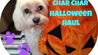 Cute Dog PetSmart Haul - Halloween Edition!