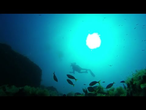 Immersioni all'Argentario con Acquazzurra scuola sub Roma.