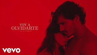 Reik - Voy a Olvidarte (Lyric Video)