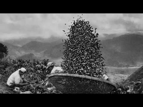 Scent of a Dream. Sebastião Salgado and illycaffè: the story of a shared project