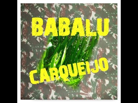 BABALU CARQUEIJO