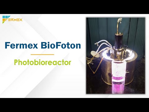 Algae Photobioreactor