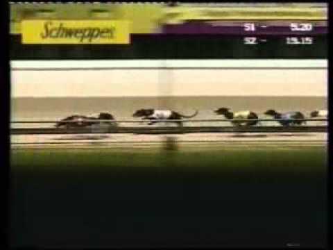 Melbourne Cup 2002.wmv