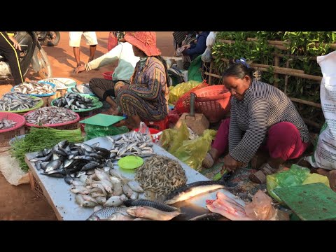 Wonderful Wet Market Scenes - People Activities, Fish cutting, Vegetables, Pork, Fruits & More...