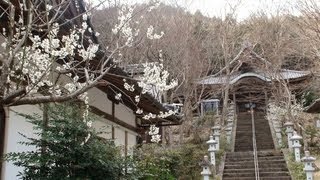 preview picture of video '(HD)京都・西光寺-Saikou Temple,Kyoto,Japan'