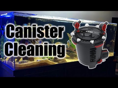 How to Clean Fluval FX6 Canister Filters (Quick & Simple)