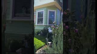 Disney Movie UP Real Life House! 😱 #up #upmovie #disney #disneymovies #disneymovie #utah #kidsmovie