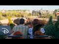Heigh Ho Take A Ride On Seven Dwarfs Mine Train