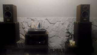 Gary Moore - Trouble at home