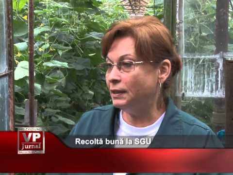 Recoltă bună la SGU