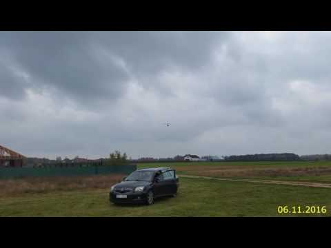 Oblot żółtej... 06.11.2016