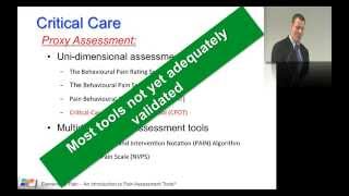 18. Pain assessment tools