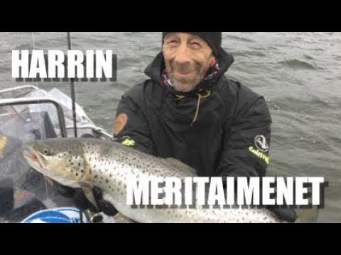 Harri osaa meritaimenen pyynnin - Kalastusoppaan vapaapäivä - Meritaimen - Kalastus