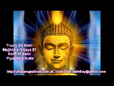 PT Tánh Thấy, Majjhima Nikaya 87, Kinh Ái Sanh, Piyajatika Sutta