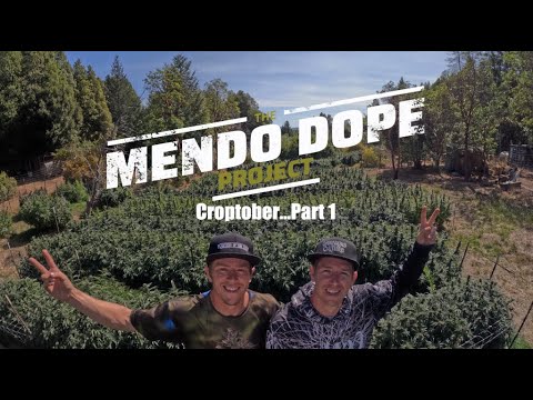 "Croptober Part 1" - The Mendo Dope Project Season 2