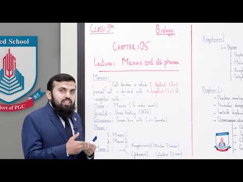 Class 9 - Biology - Chapter 5 - Lecture 5 Topic Meiosis I (Prophase I) - Allied Schools