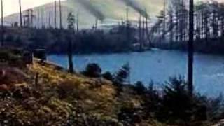 Grateful Dead - Cassidy, Don&#39;t Ease Me In (8-31-83)