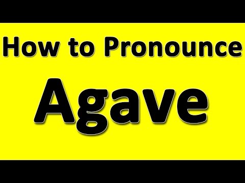 How to Pronounce Agave