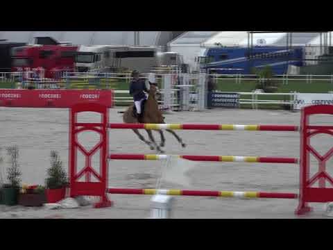 Sultane des Ibis - Barrage GP CSI 2 étoiles de Vilamoura