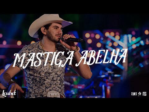 Abelha video