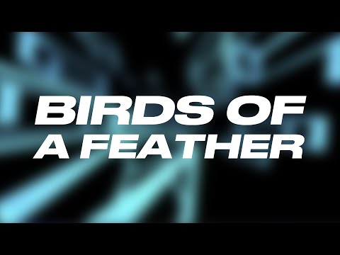 Poylow, Jared Mueller, David Herrlich - Birds Of A Feather