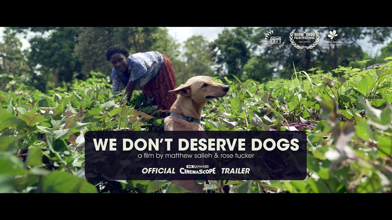We Don't Deserve Dogs - Official Trailer [4K Cinemascope]
