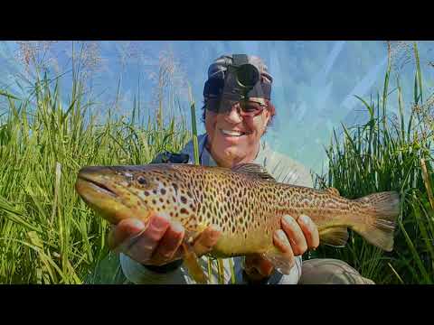 Fly Fishing Gacka on a summer morning (2021)