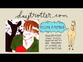 Deerhunter - Activa - Daytrotter Session