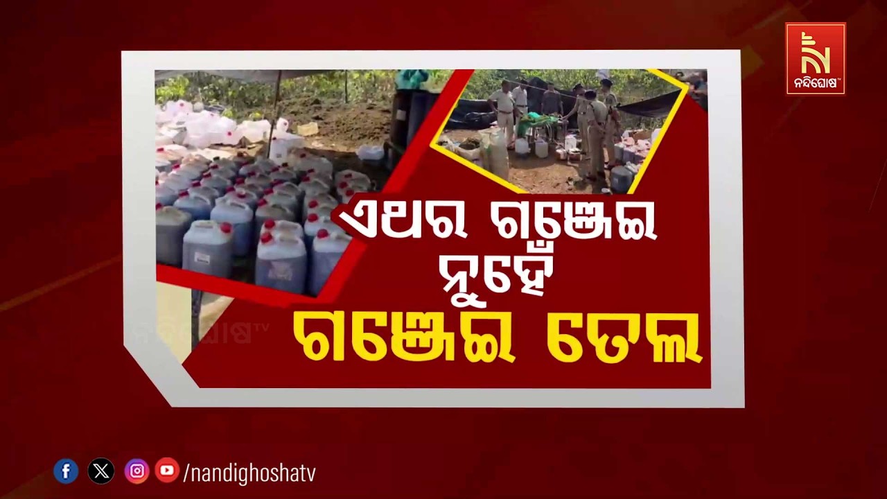 🔴Live | ଏଥର ଗଞ୍ଜେଇ ନୁହେଁ, ଗଞ୍ଜେଇ ତେଲ