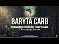 Baryta Carb Psychology Deep Insights From Philip M Bailey S Homeopathic Psychology