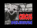 "CIRCUS DELIRIUM"  1940s CIRCUS FOOTAGE  BIG TOP  ANIMAL & BIG CAT SHOWS   HIGH WIRE ACTS  XD81385