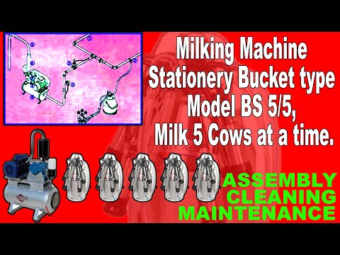 BRK 5/2 Bucket Milking Machines Double Can Stationery Type