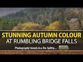 Photographing stunning Autumn colour at Rumbling Bridge Falls