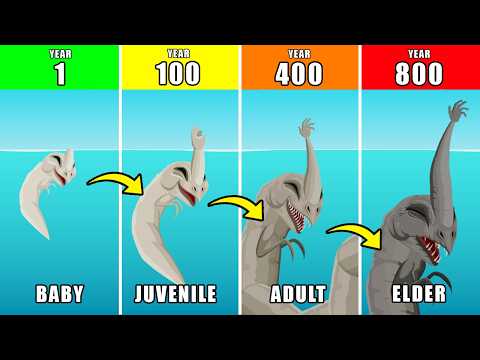 800 Years of The Sea Hand Monster Life: How The Sea Hand Monster Might Have Lived