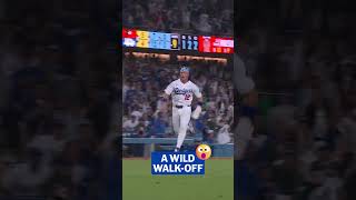 WHAT AN ENDING FOR THE DODGERS! ????