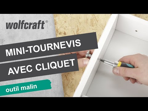 1237000_Miniature-Hand-Screwdriver-With-Ratchet-Function_PRO_MCP_fr_2016.mp4