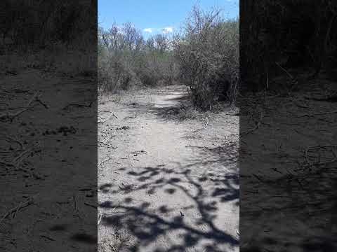 CONLARA: Reserva Natural La Isla  #viajes