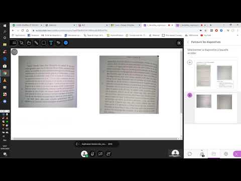 lecture et déchiffrage du texte de l'explication linéaire 3, extrait des "Coches"