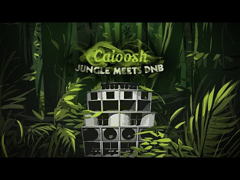 Caloosh  - Jungle meets DnB  (Jungle Dubwise Drum and Bass mix 2022 )